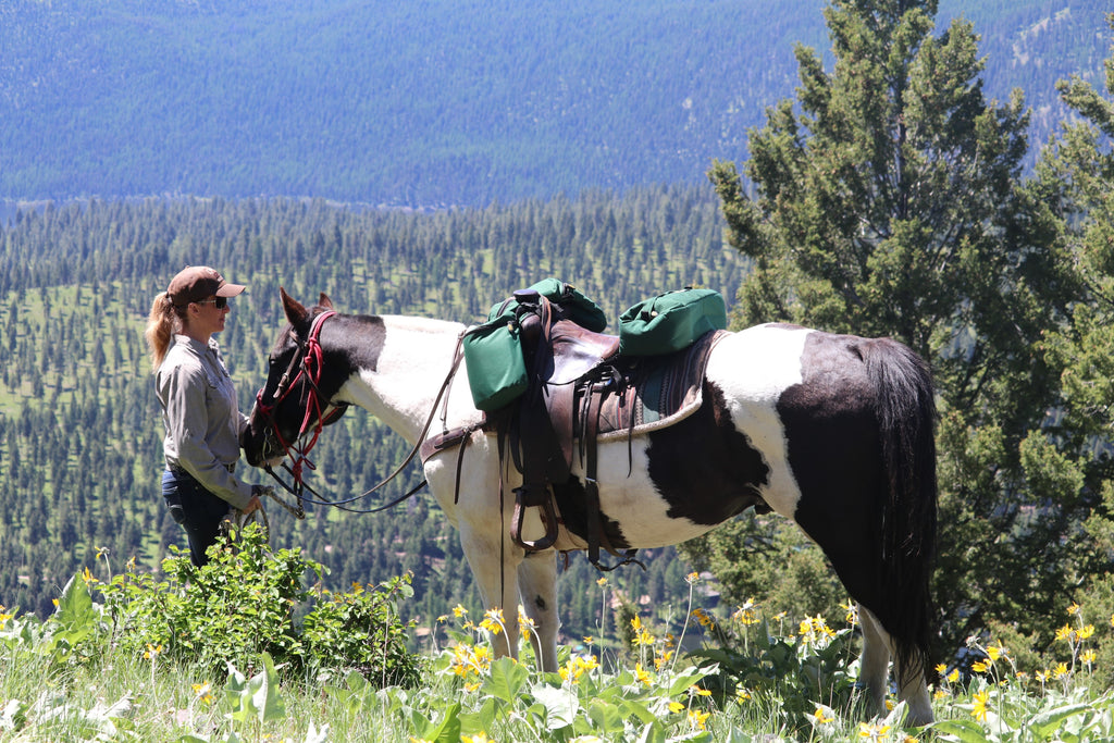 Medium Horse Horn Bag and Cantle Bag Saddle Bag Combo T445