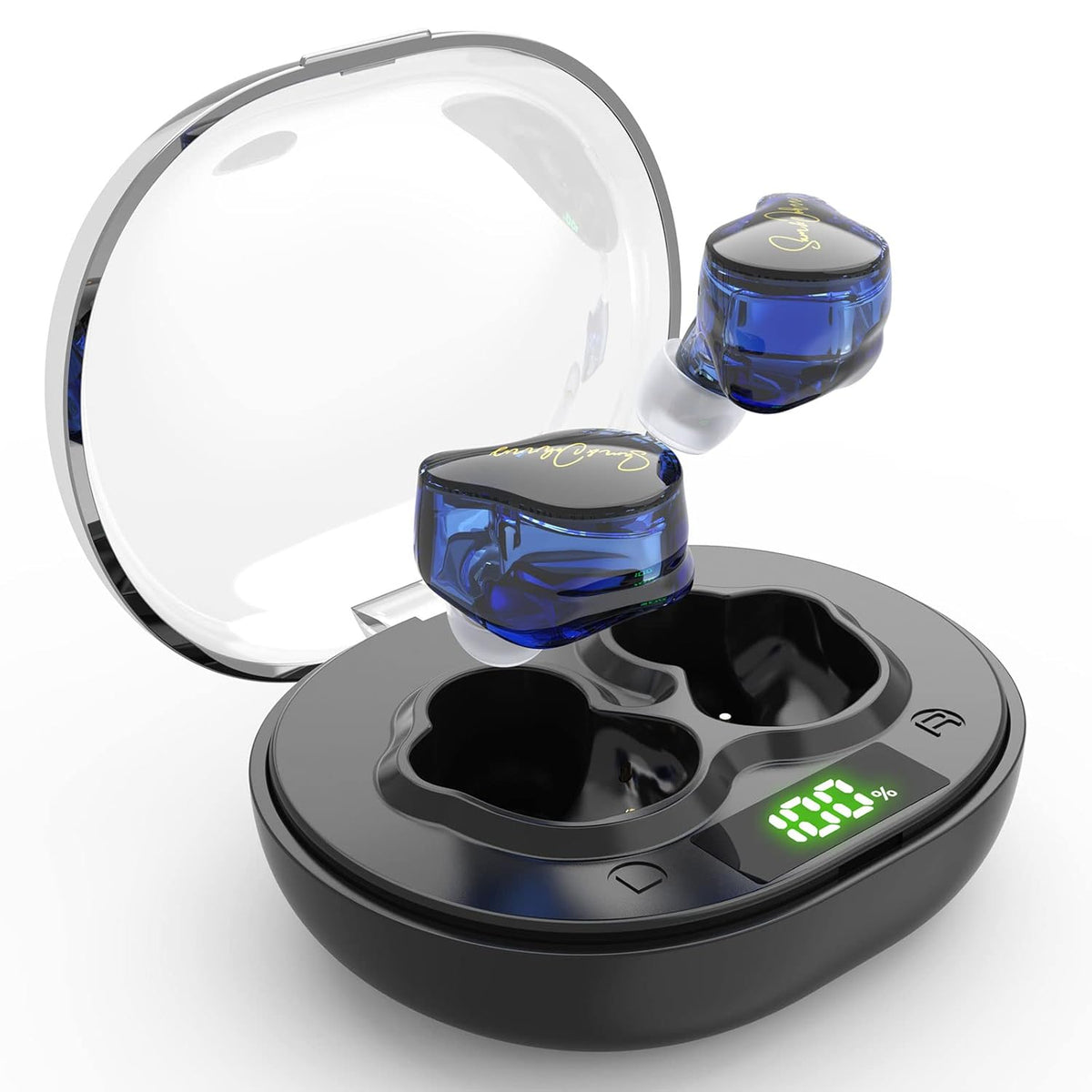 Rechargeable Digital Hearing Aids (BLUE) B82605