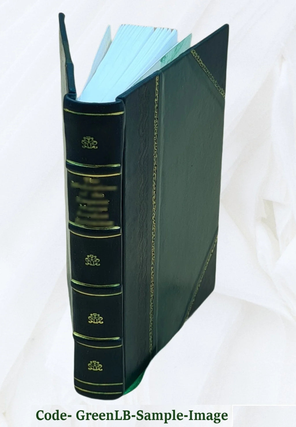 Leather Bound V56581