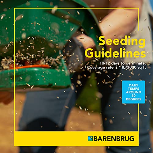 25 LB Bag Bermudagrass Grass Seed U99403