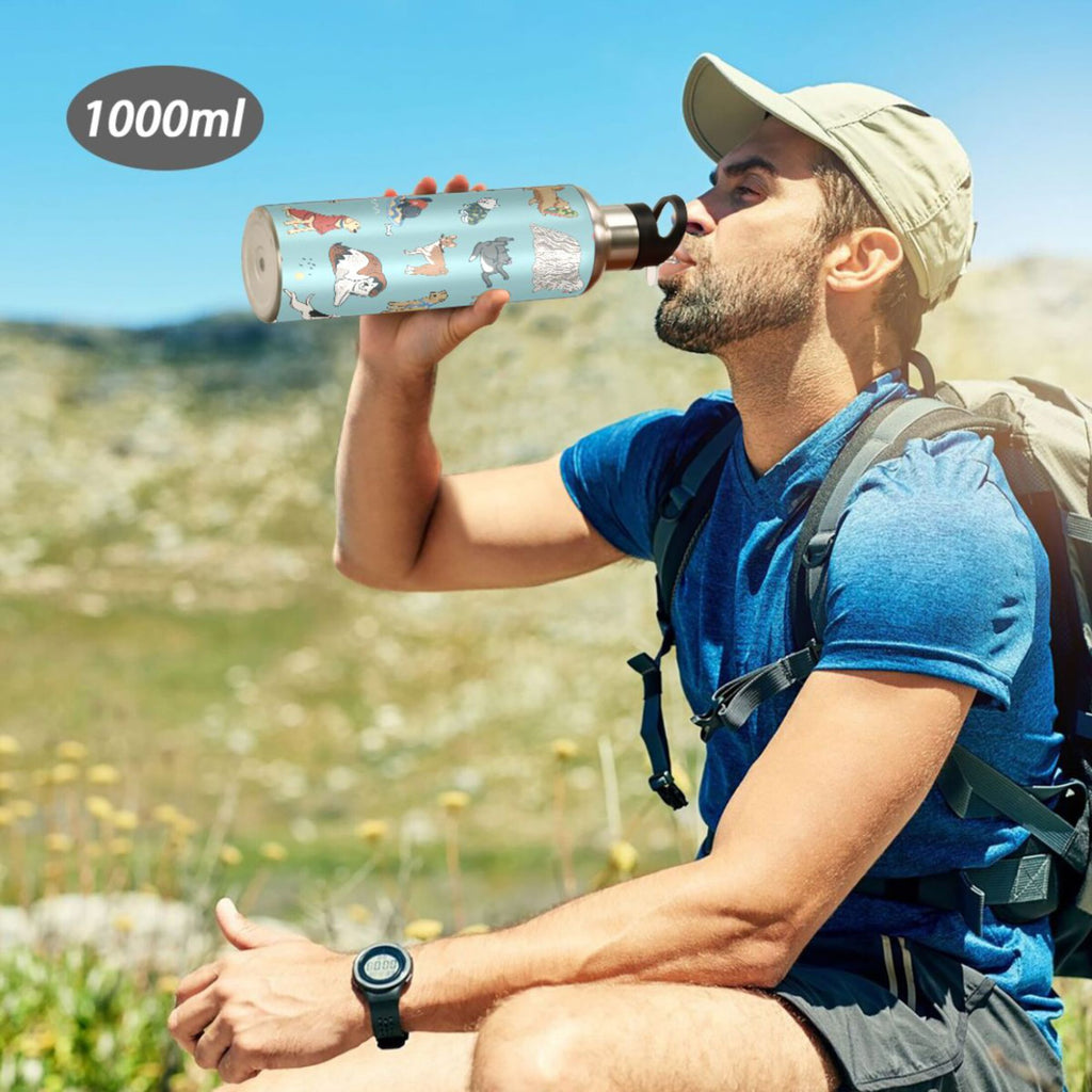 20 oz Insulated Stainless Steel Water Bottle with Straw Lid G1233