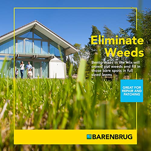 25 LB Bag Bermudagrass Grass Seed U99403