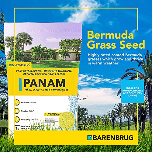 25 LB Bag Bermudagrass Grass Seed U99403