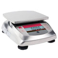 Compact Precision Scale Y166