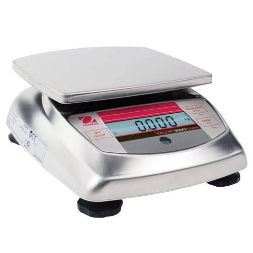 Compact Precision Scale Y166