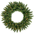 24 Inch Camdon Fir Wreath with 50 Clear Lights J5804