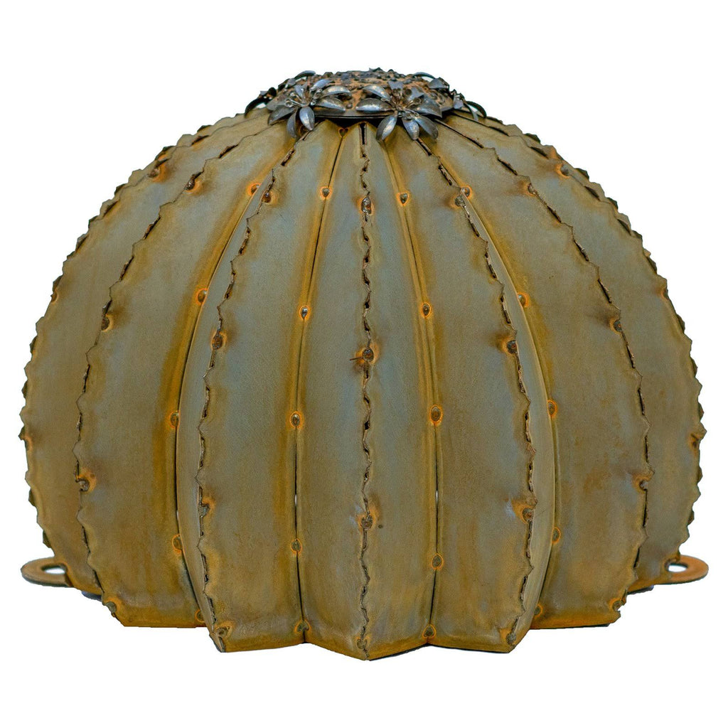 Golden Barrel Cactus Torch P9650