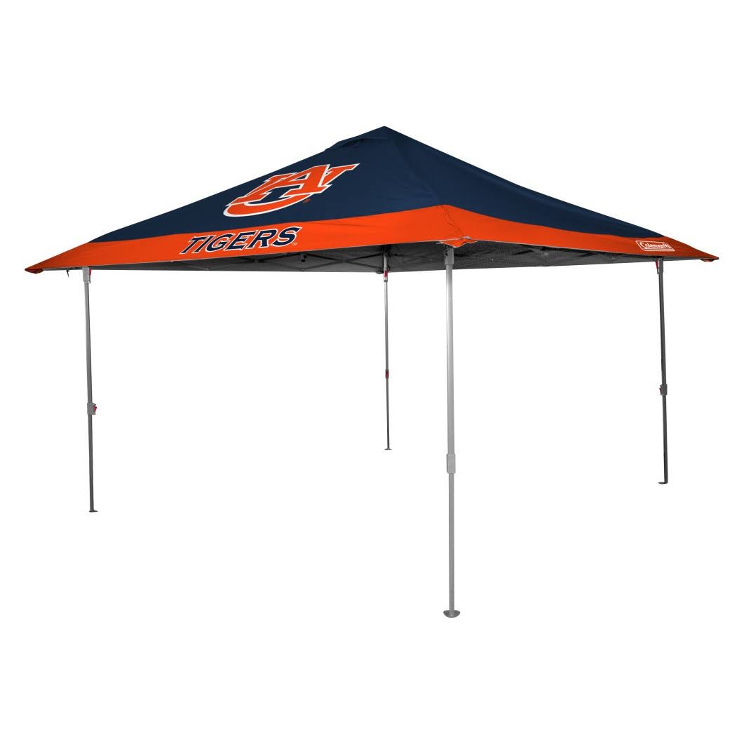 10x10 Eaved Canopy with Carry Bag D33301