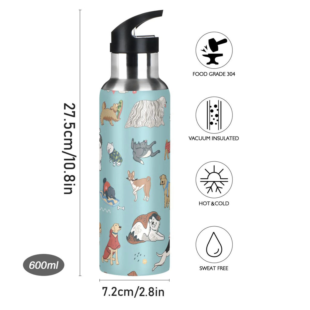 20 oz Insulated Stainless Steel Water Bottle with Straw Lid G1233