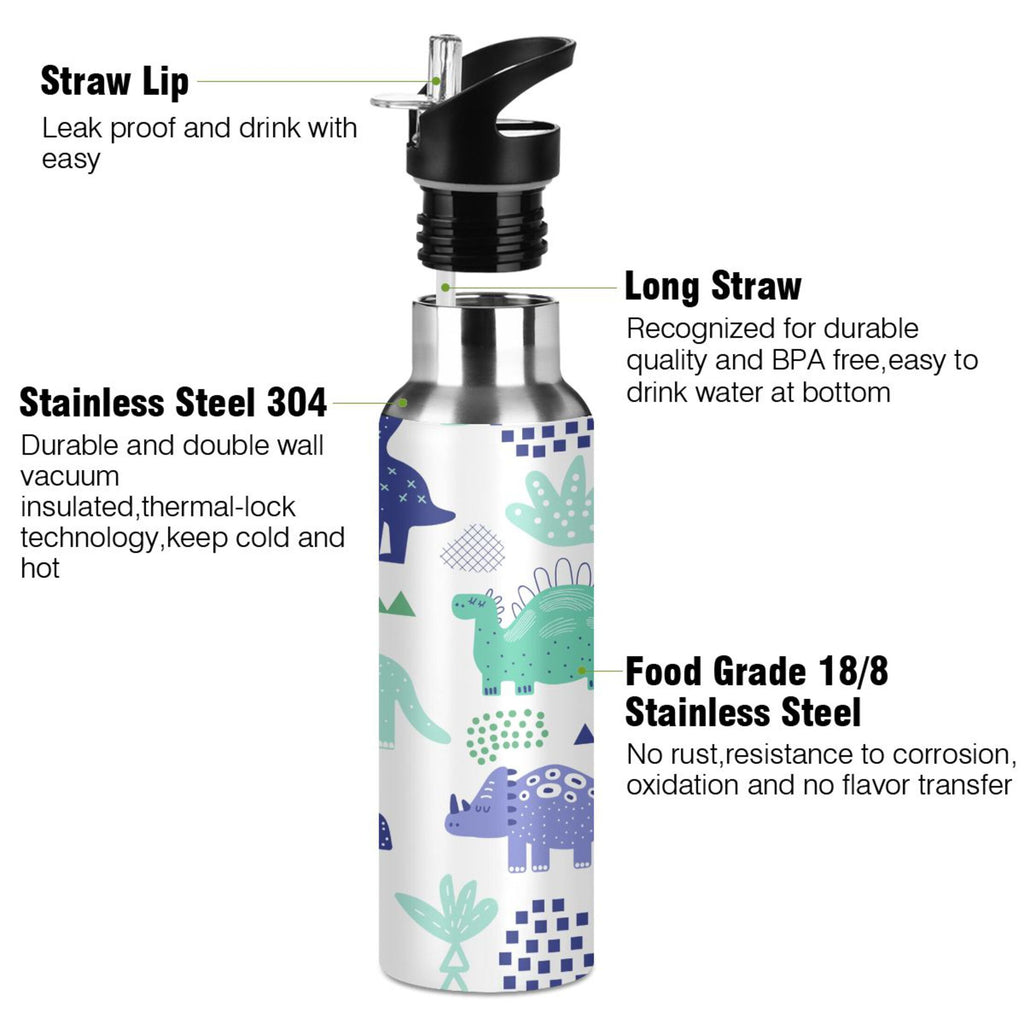 Stainless Steel Water Bottle with Straw Lid Vacuum Insulated 20 OZ Y214476