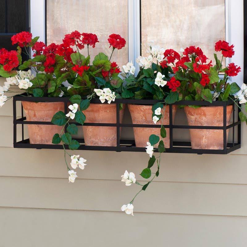 Window Box Cage X7706