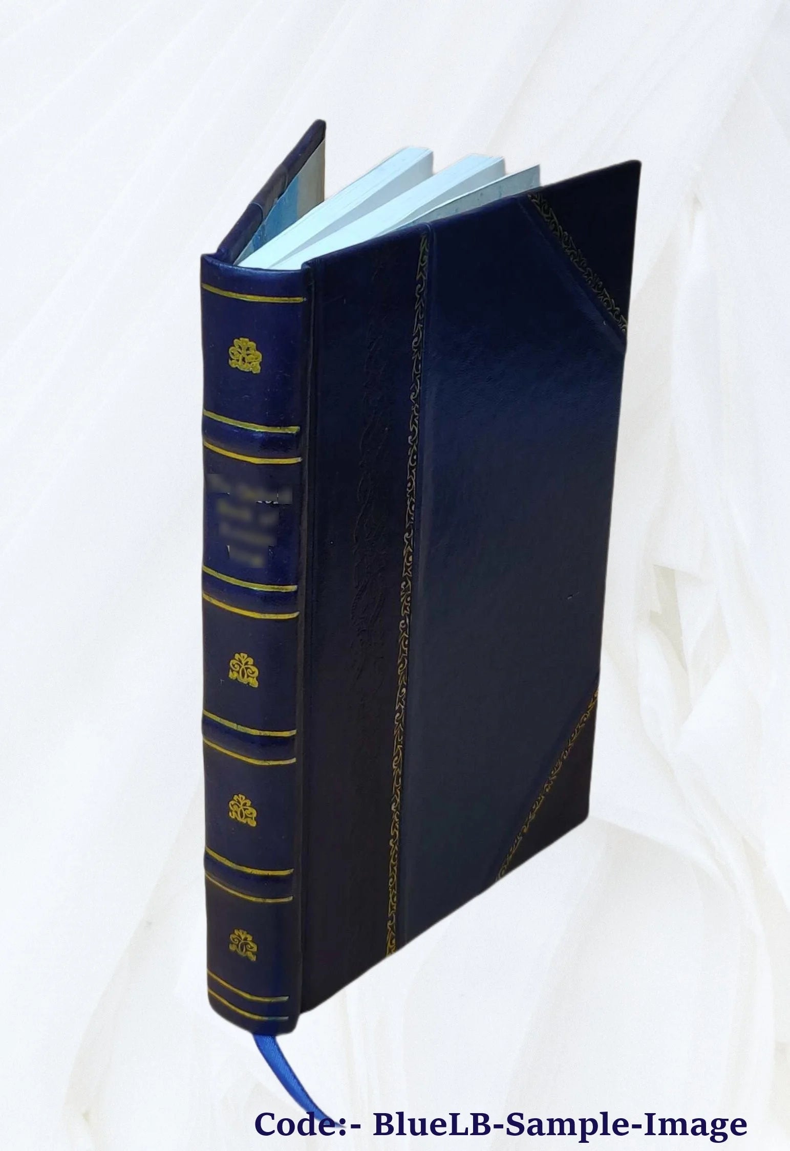 Leather Bound V56581