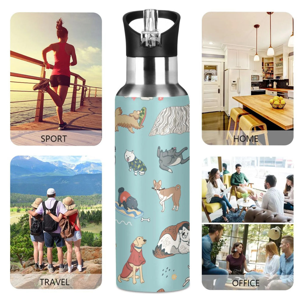 20 oz Insulated Stainless Steel Water Bottle with Straw Lid G1233