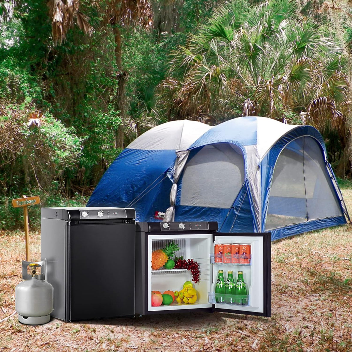 Black Propane Refrigerator 3 Way 1.4 Cu.Ft E58721