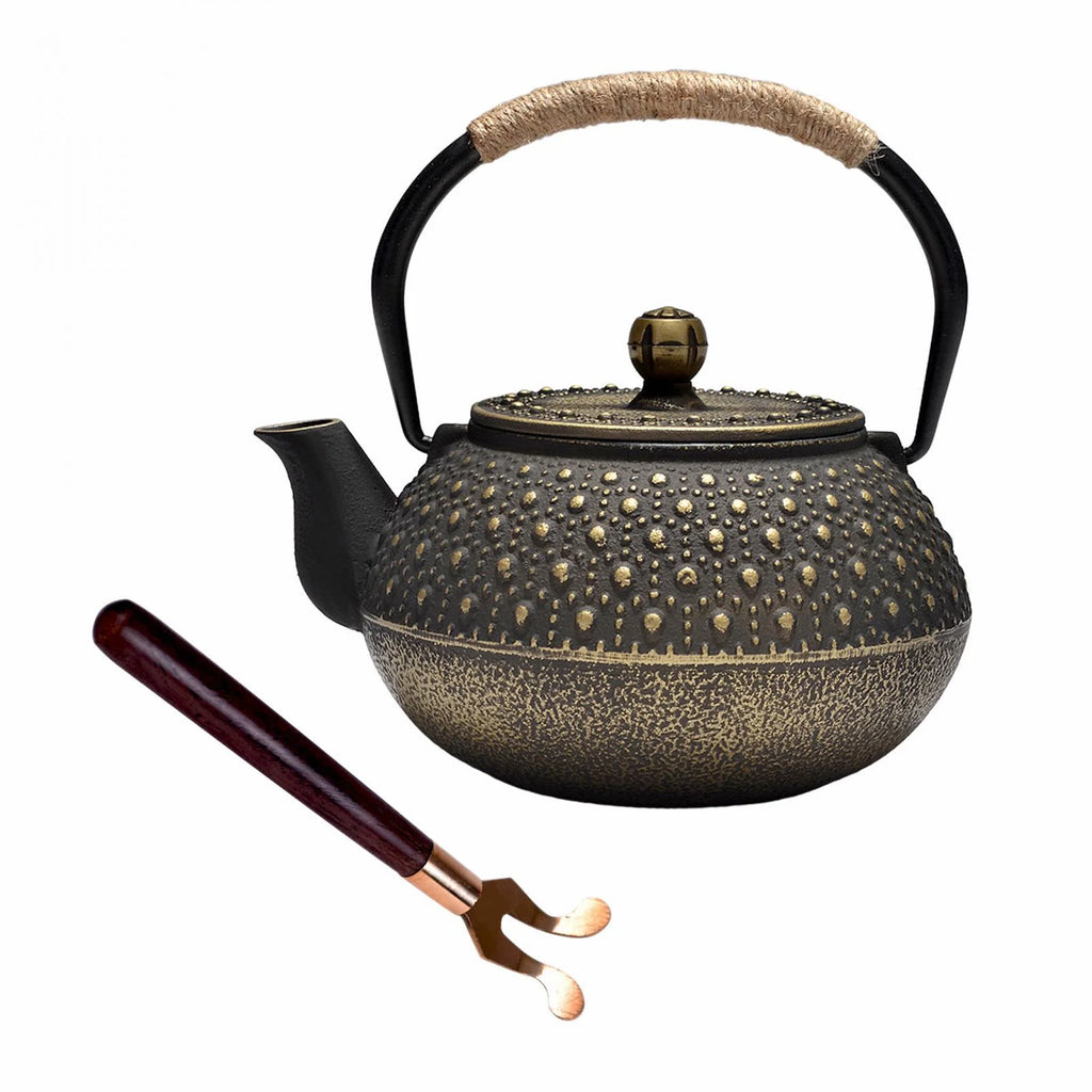 Cast Iron Teapot Tea Kettle Q1830