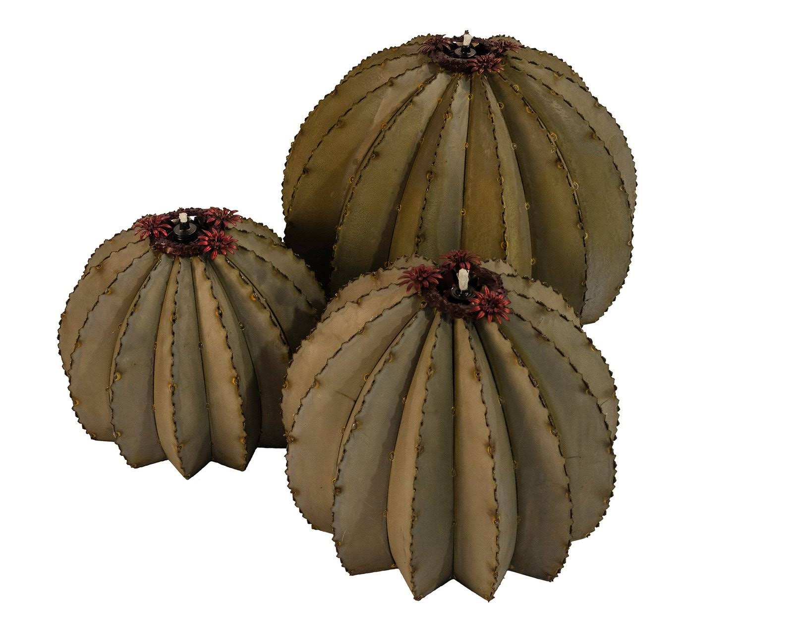 Golden Barrel Cactus Torch P9650