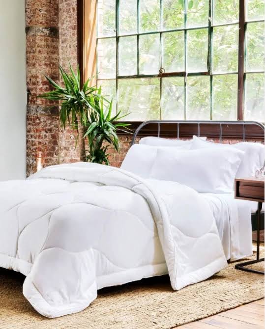 King/Cal King Eucalyptus Comforter U67909