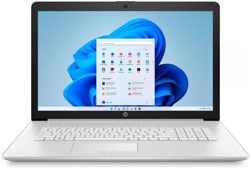 17" FHD Silver Laptop S9841
