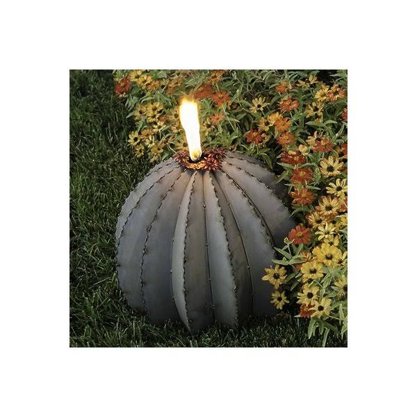 Golden Barrel Cactus Torch P9650
