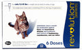6 pack Revolution for Cats X408849