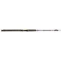 Silver Cat Magnum 10 Ft. Casting Rod J41755