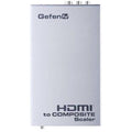 HDMI to Composite Scaler D4829