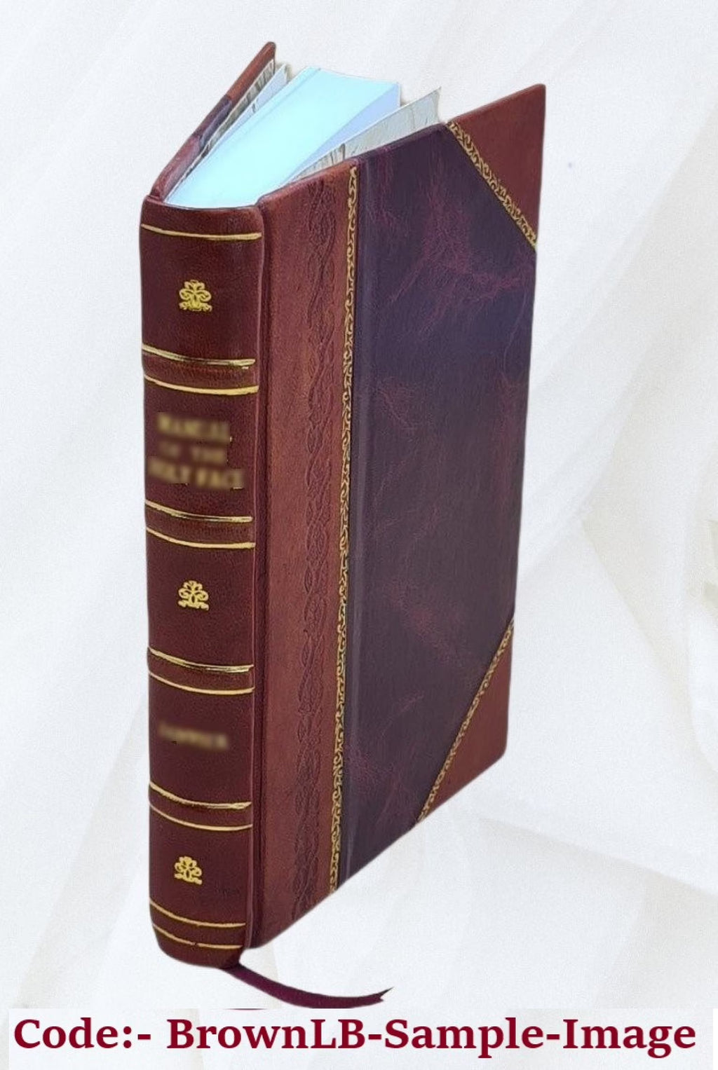 Leather Bound V56581