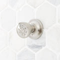Brushed Nickel Round Swivel Body Spray A49618