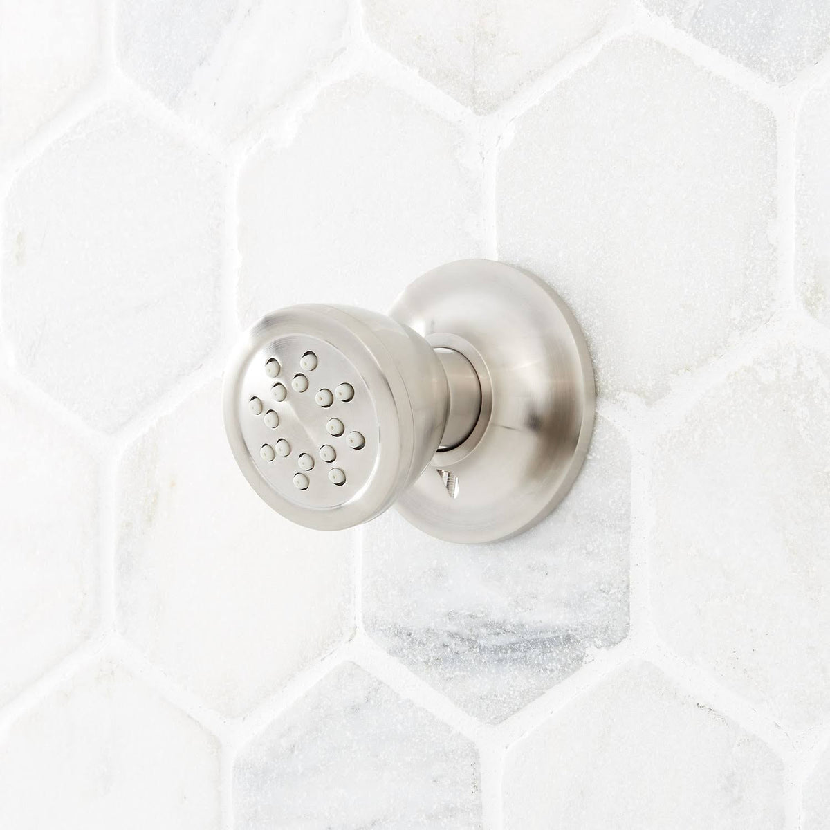 Brushed Nickel Round Swivel Body Spray A49618