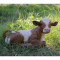 Brown Cow Laying Down Z6620