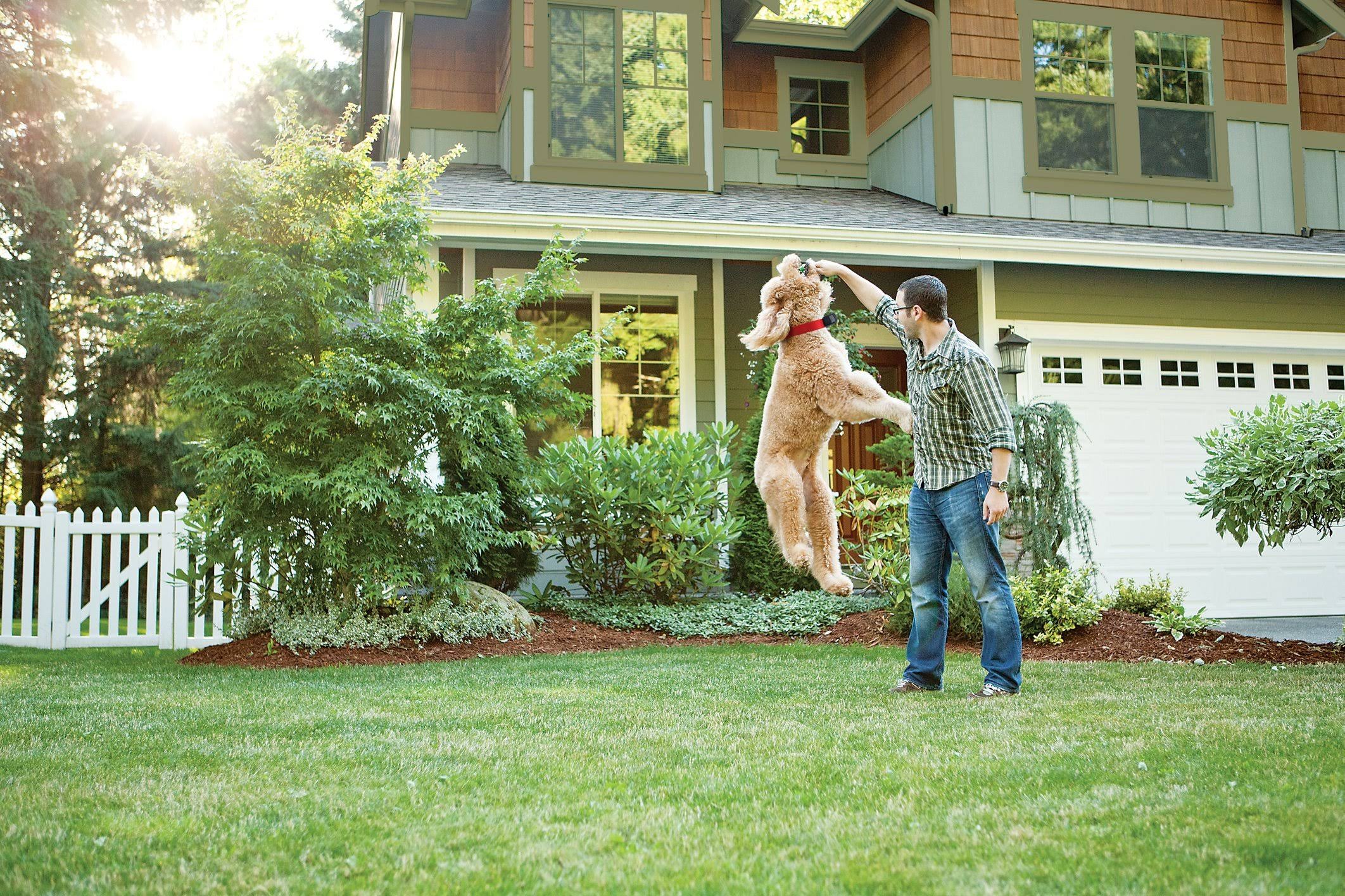 Wireless Pet Containment System Q978
