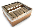 70 Spikes/Case Palm Fertilizer Spikes 8-4-8 M79906