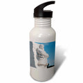 21 oz Sports Water Bottle R438