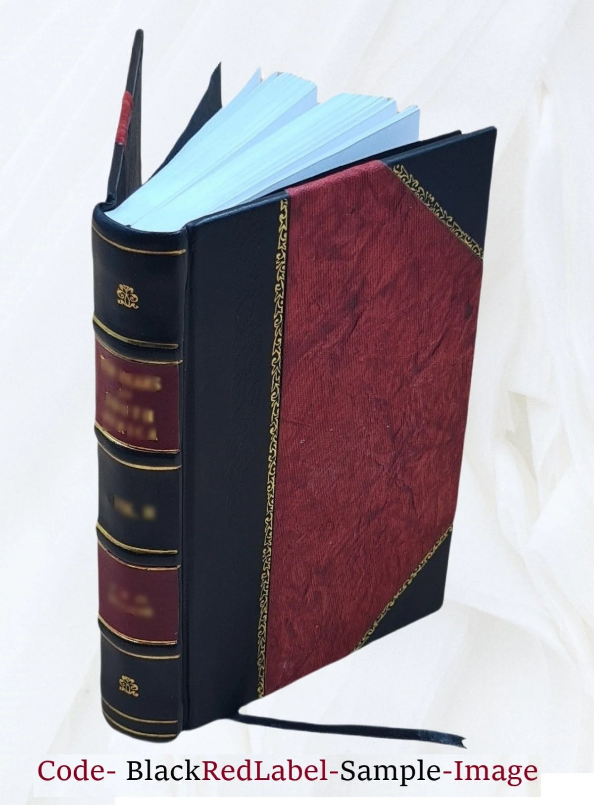 Leather Bound V56581