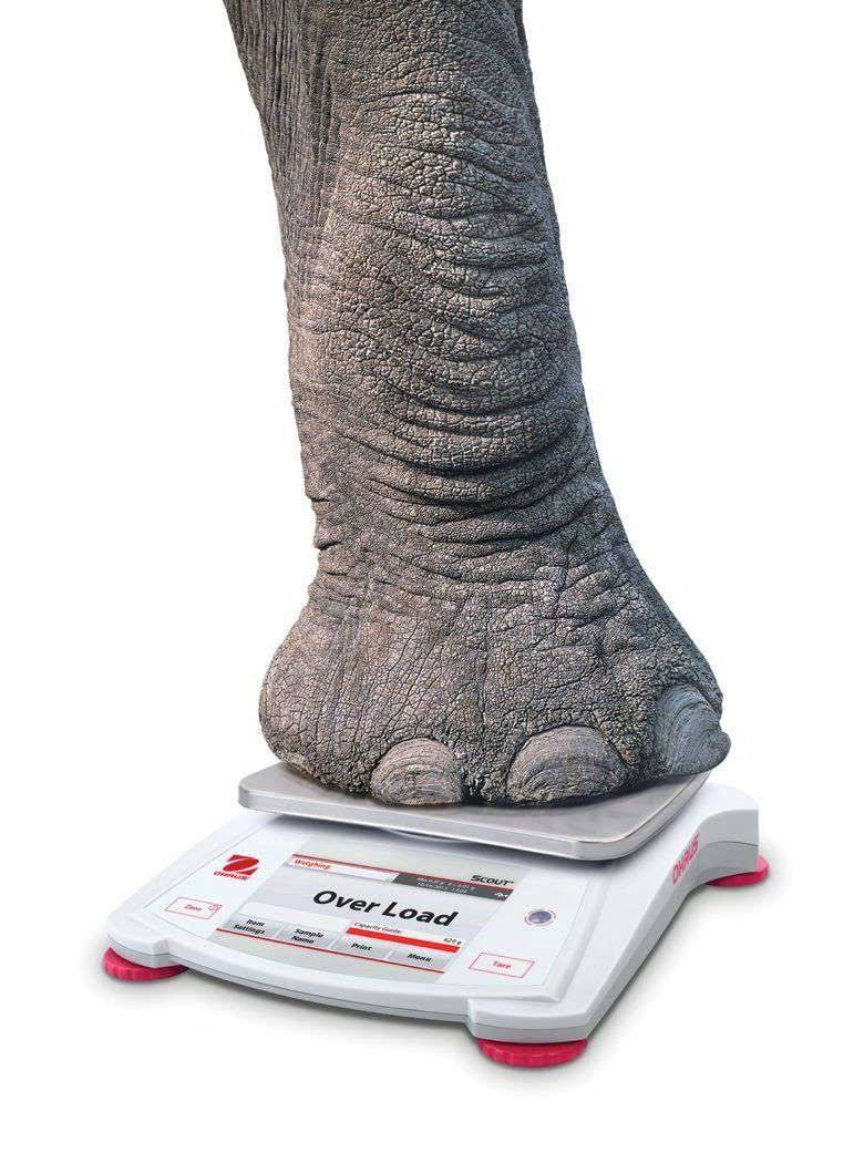 Portable Balance with Touchscreen, 420g Capacity A7356