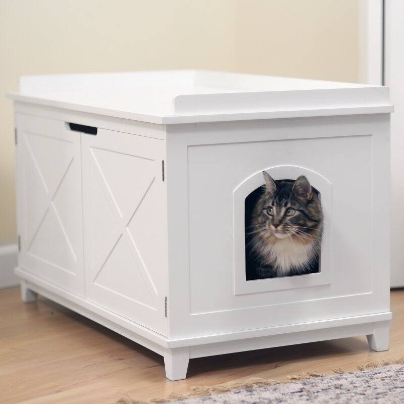 Cat Washroom Box N25323
